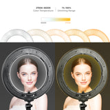 LED 14 Inch Dimmable Ring Light Complete Kit